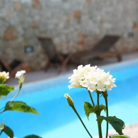Apartment 3 With Pool And Sea View